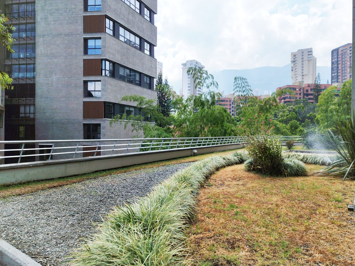 Oficina en arriendo en Los Balsos No.2, Medellín, 248 m² · foto 20 de 20