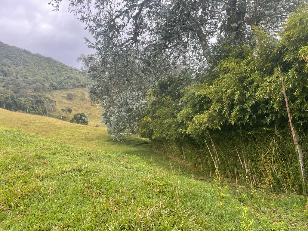 Lote en venta en La Ceja, 68000 m² · foto 13 de 24