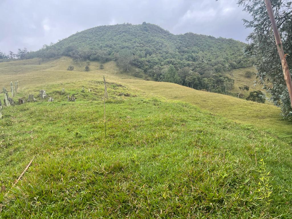 Lote en venta en La Ceja, 68000 m² · foto 14 de 24