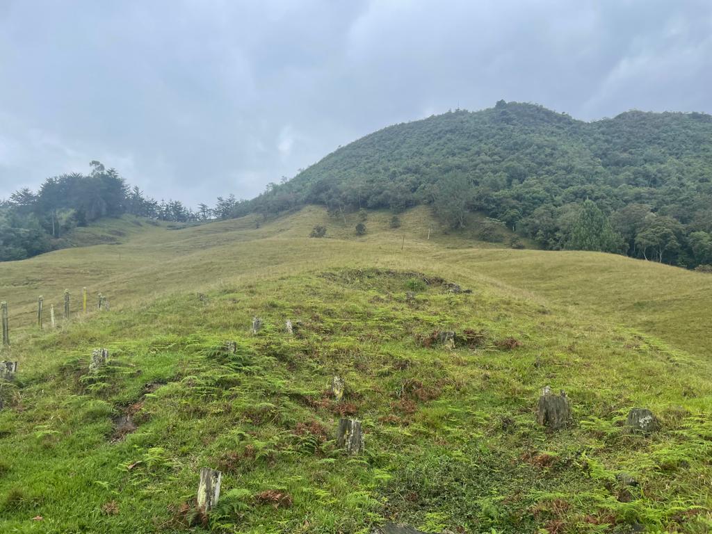 Lote en venta en La Ceja, 68000 m² · foto 15 de 24