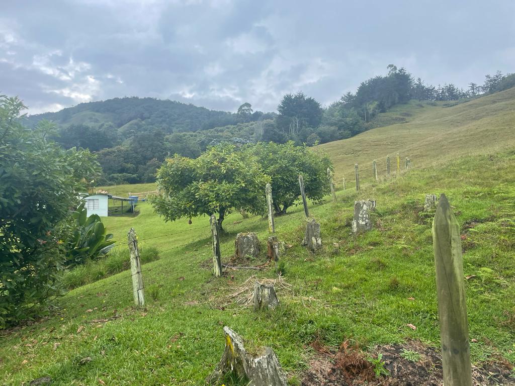Lote en venta en La Ceja, 68000 m² · foto 16 de 24