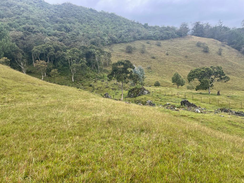 Lote en venta en La Ceja, 68000 m² · foto 17 de 24