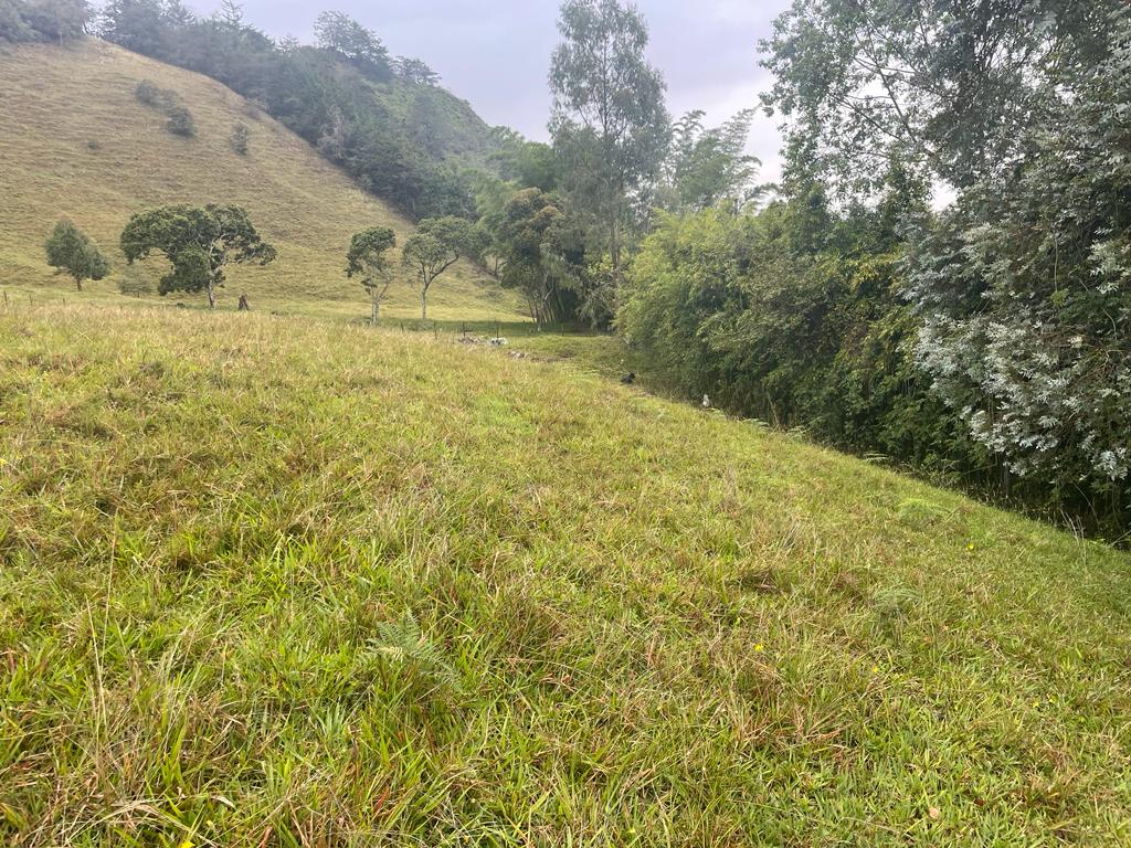 Lote en venta en La Ceja, 68000 m² · foto 18 de 24