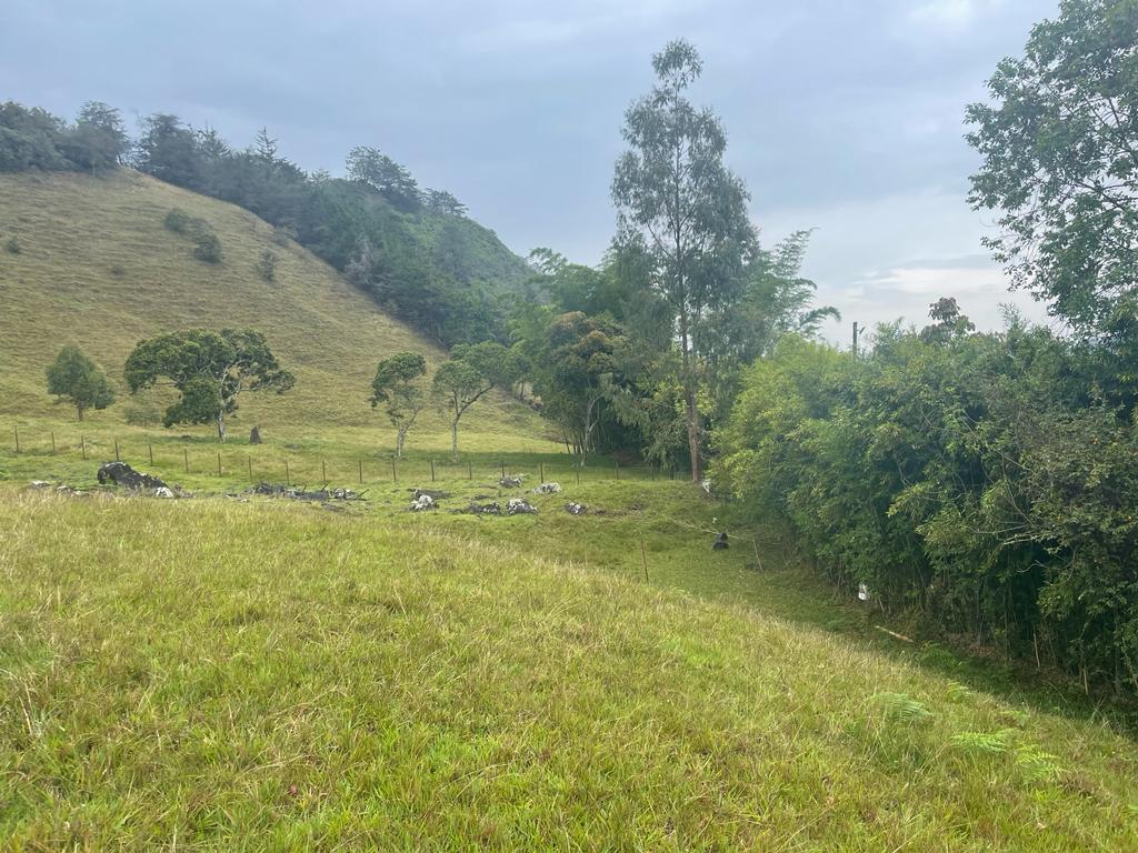 Lote en venta en La Ceja, 68000 m² · foto 19 de 24