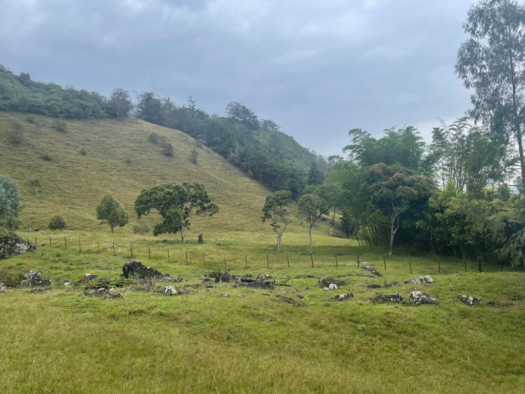 Lote en venta en La Ceja, 68000 m² · foto 20 de 24