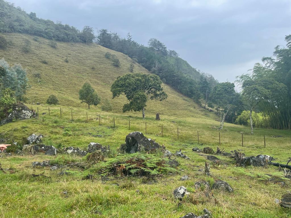 Lote en venta en La Ceja, 68000 m² · foto 21 de 24