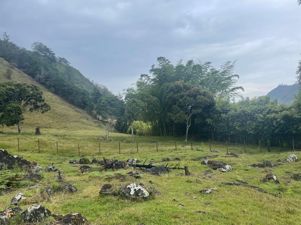 Lote en venta en La Ceja, 68000 m² · foto 22 de 24