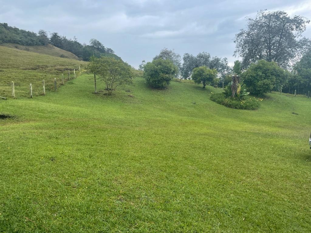 Lote en venta en La Ceja, 68000 m² · foto 2 de 24