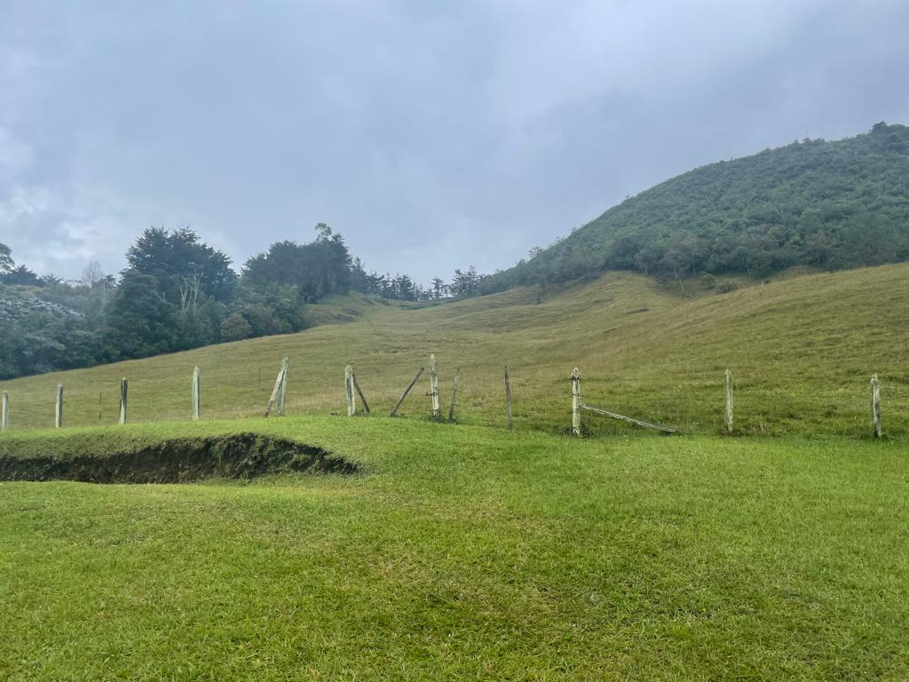 Lote en venta en La Ceja, 68000 m² · foto 5 de 24
