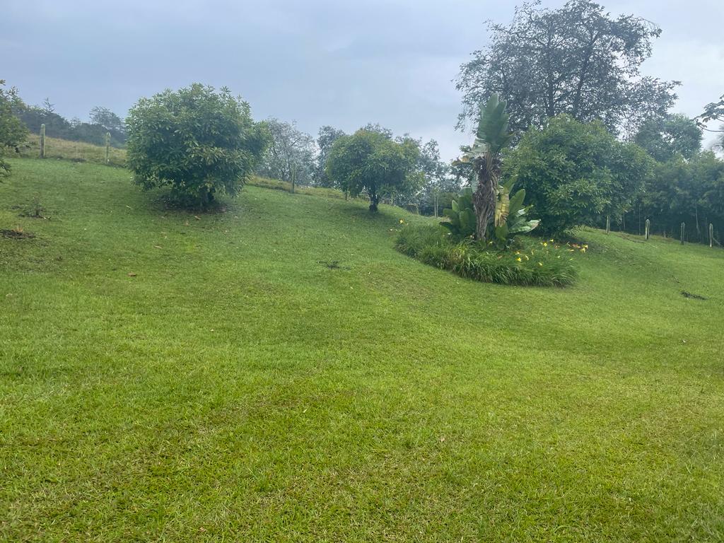 Lote en venta en La Ceja, 68000 m² · foto 8 de 24
