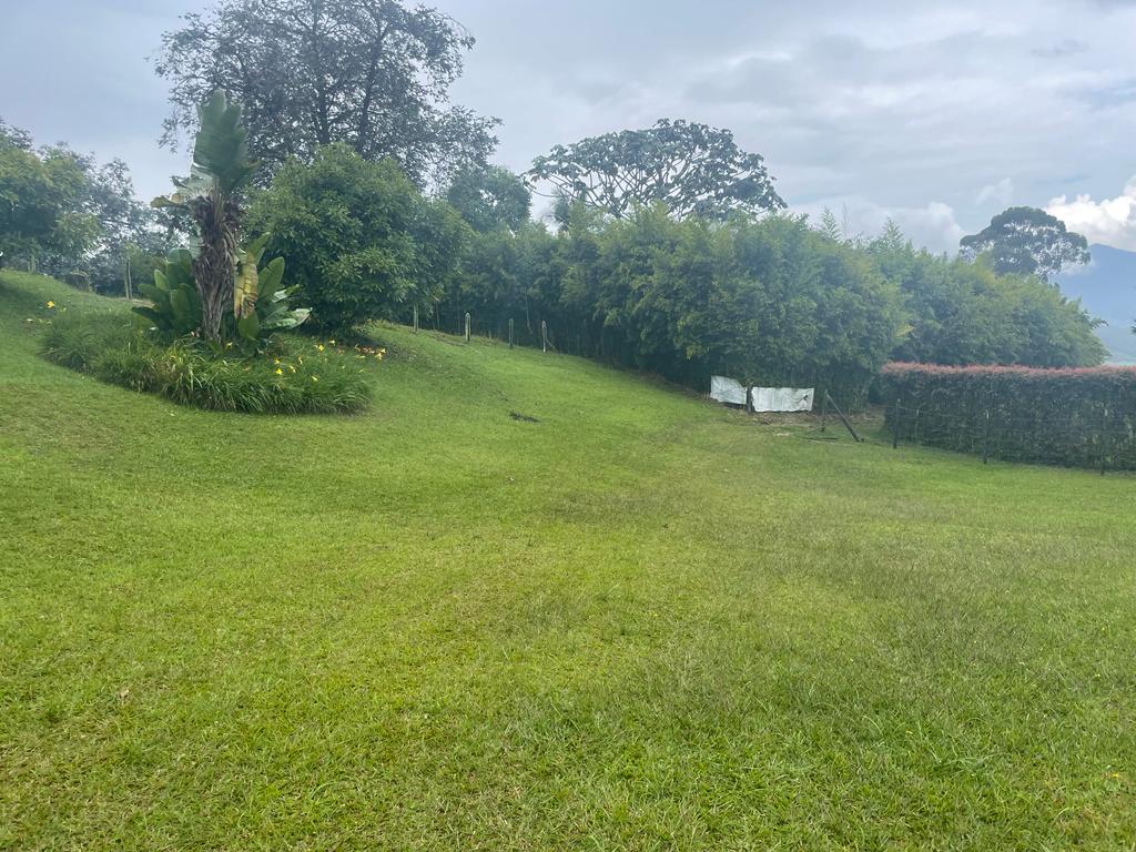 Lote en venta en La Ceja, 68000 m² · foto 9 de 24