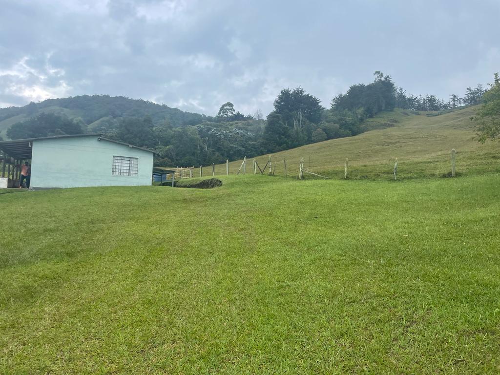 Lote en venta en La Ceja, 68000 m² · foto 11 de 24