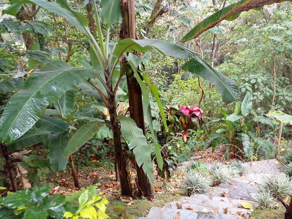 Casa de 5 alcobas en venta en Loma Del Escobero, Envigado, 385 m² · foto 19 de 20