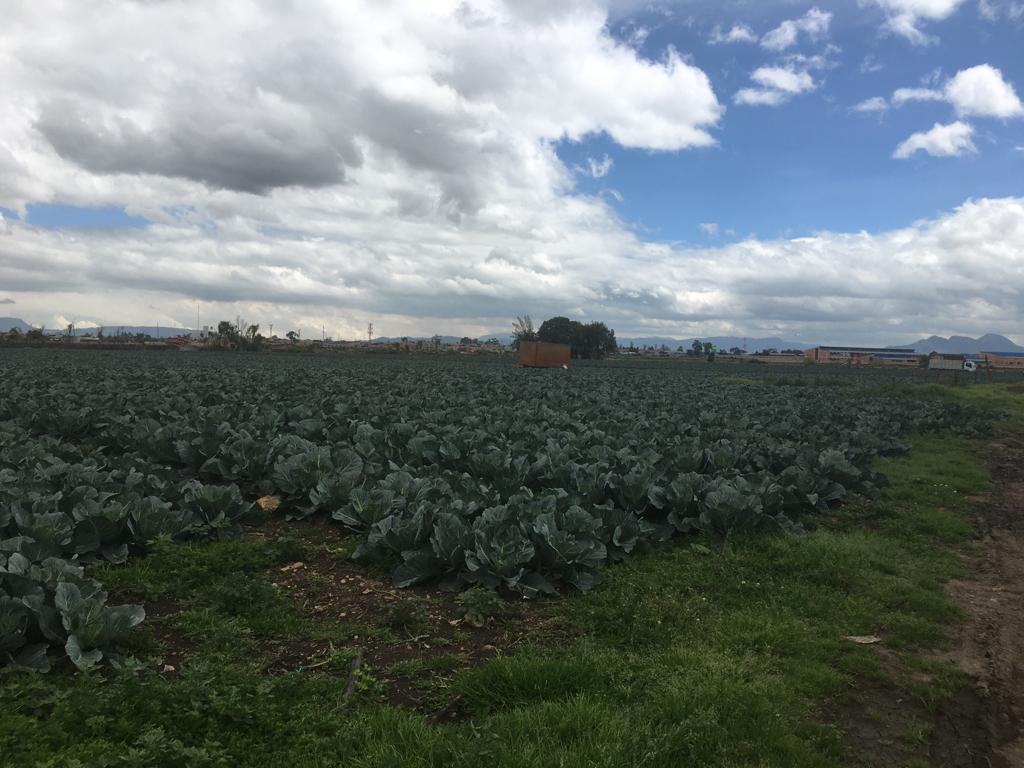 Lote en venta en El Porvenir Et I, Mosquera · foto 9 de 9