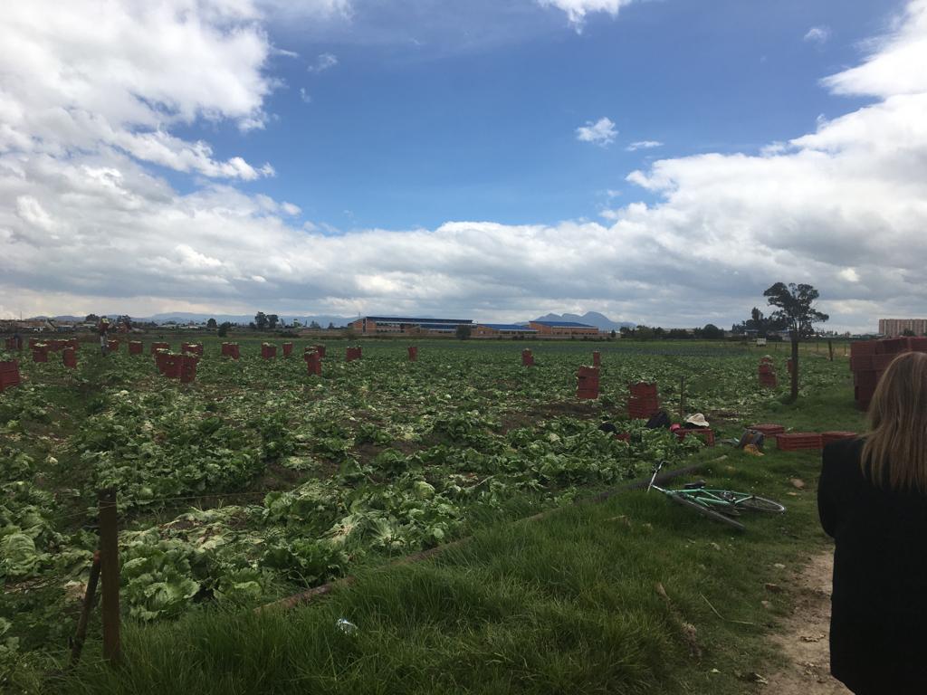 Lote en venta en El Porvenir Et I, Mosquera · foto 2 de 9
