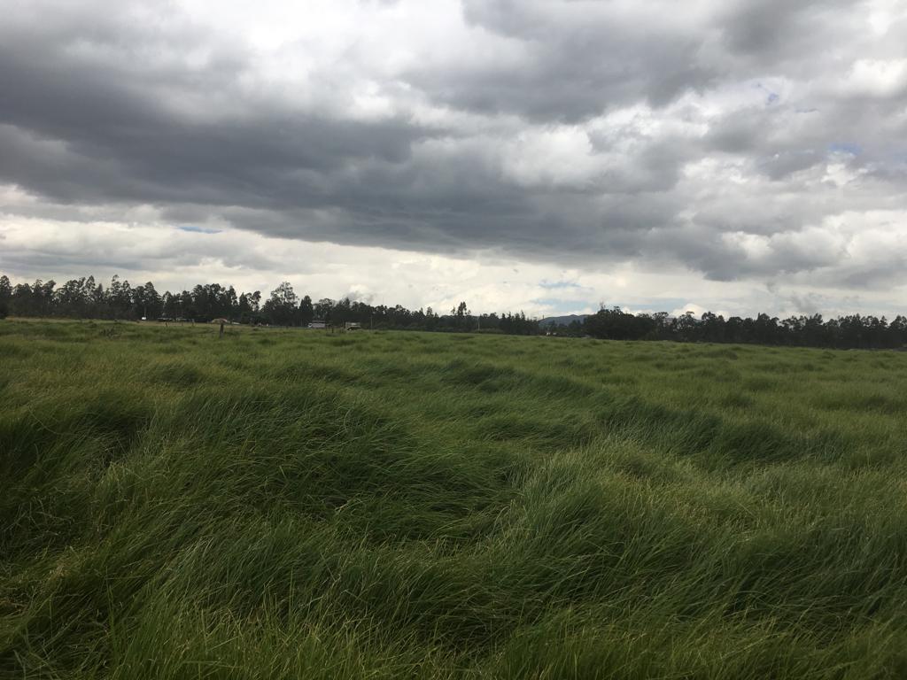 Lote en venta en El Porvenir Et I, Mosquera · foto 6 de 9
