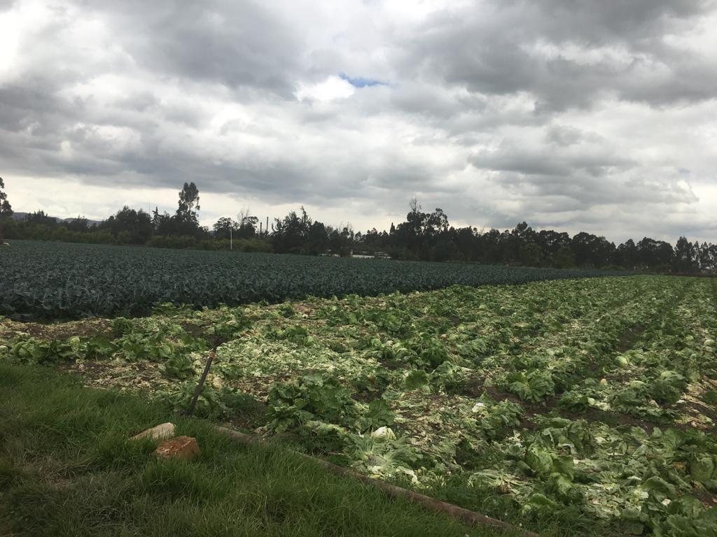 Lote en venta en El Porvenir Et I, Mosquera · foto 7 de 9