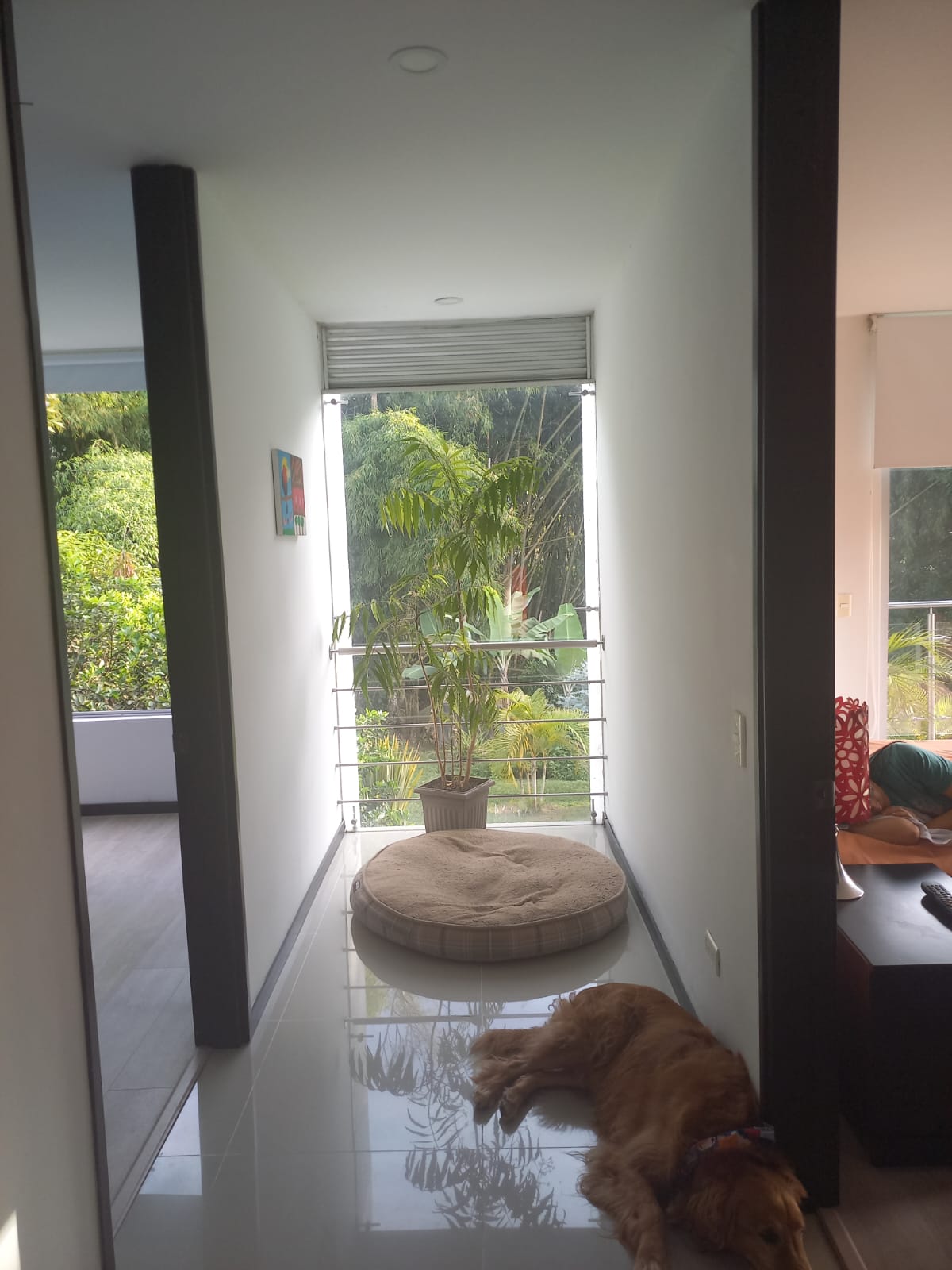 Casa en venta en Tribunas Corcega, Pereira · foto 20 de 24