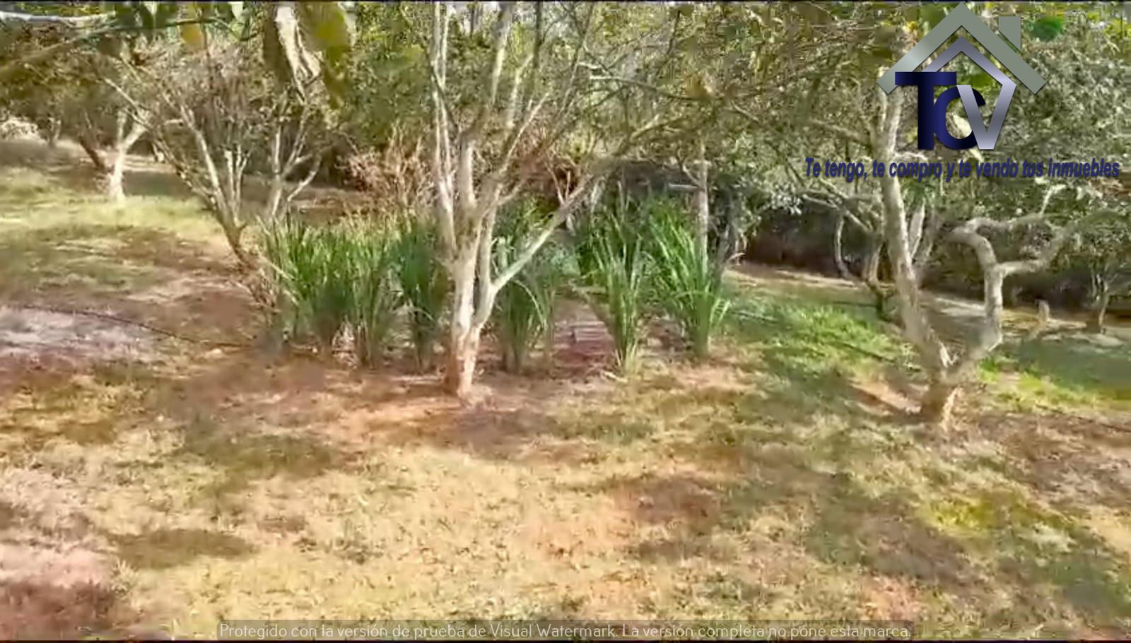 Casa en venta en Ruitoque, Floridablanca, 1000 m² · foto 10 de 10