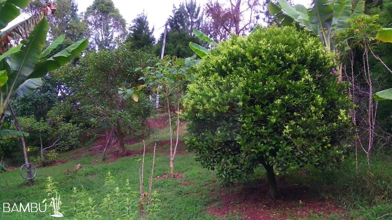 Finca en venta en Guarne, 7 m² · foto 18 de 24