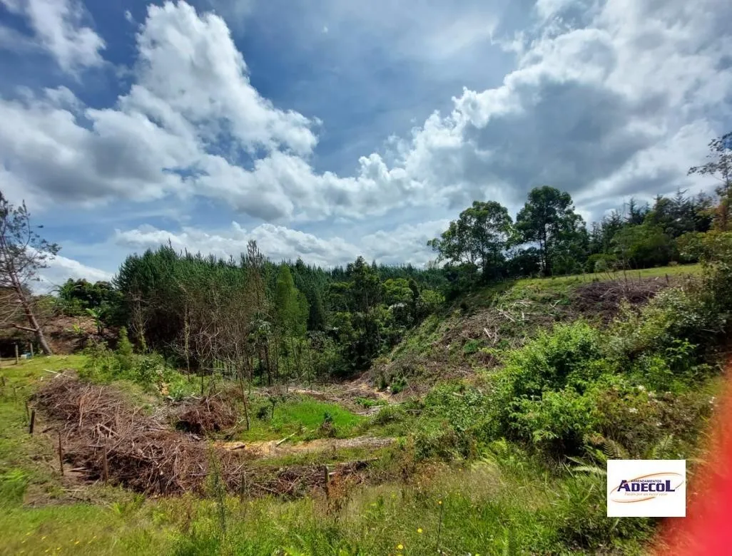 Lote en venta en El Porvenir, Rionegro, 3330 m² · foto 11 de 12