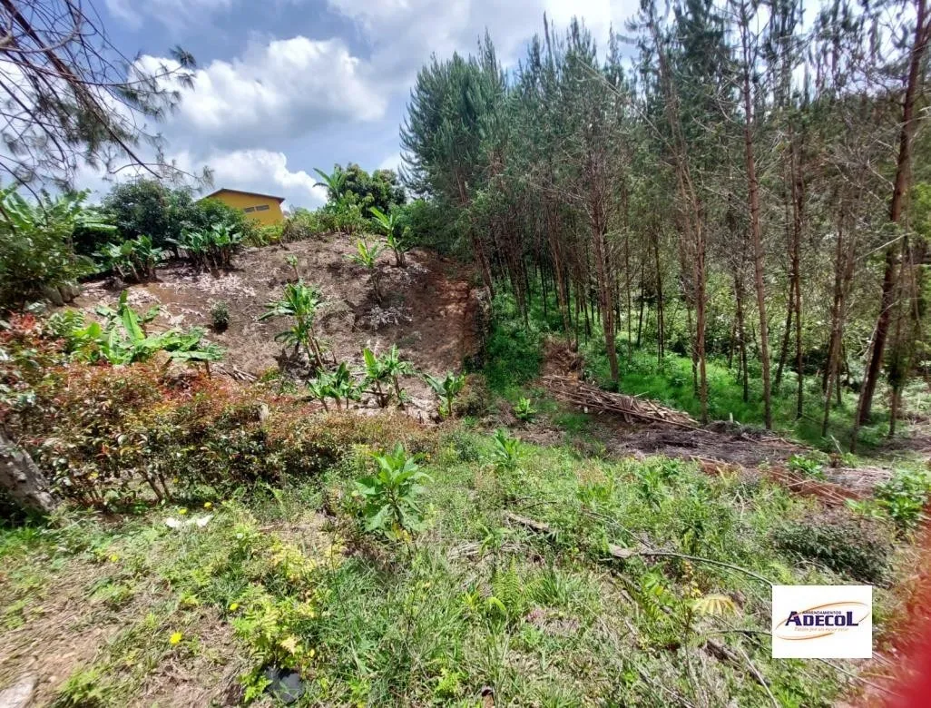 Land in El porvenir (3330 m²) for Sale - 3