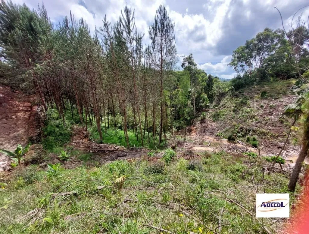 Land in El porvenir (3330 m²) for Sale - 4