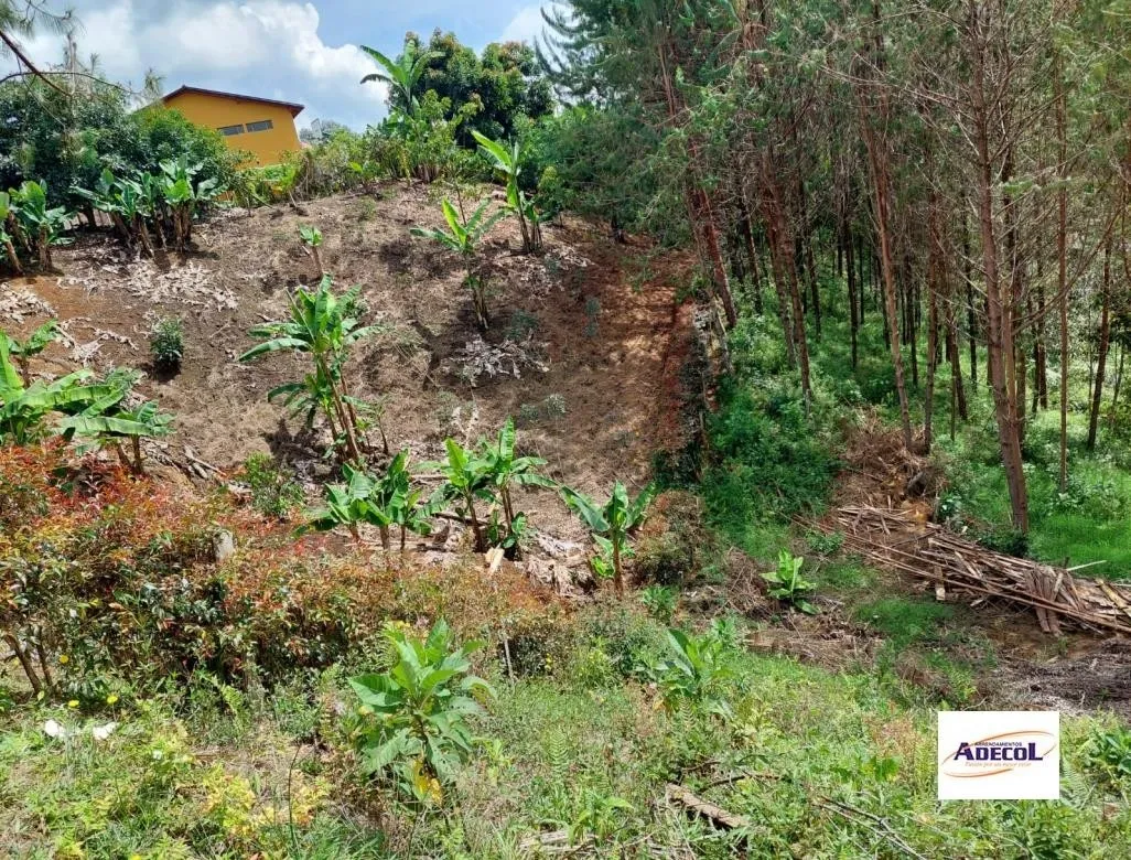 Lote en venta en El Porvenir, Rionegro, 3330 m² · foto 5 de 12