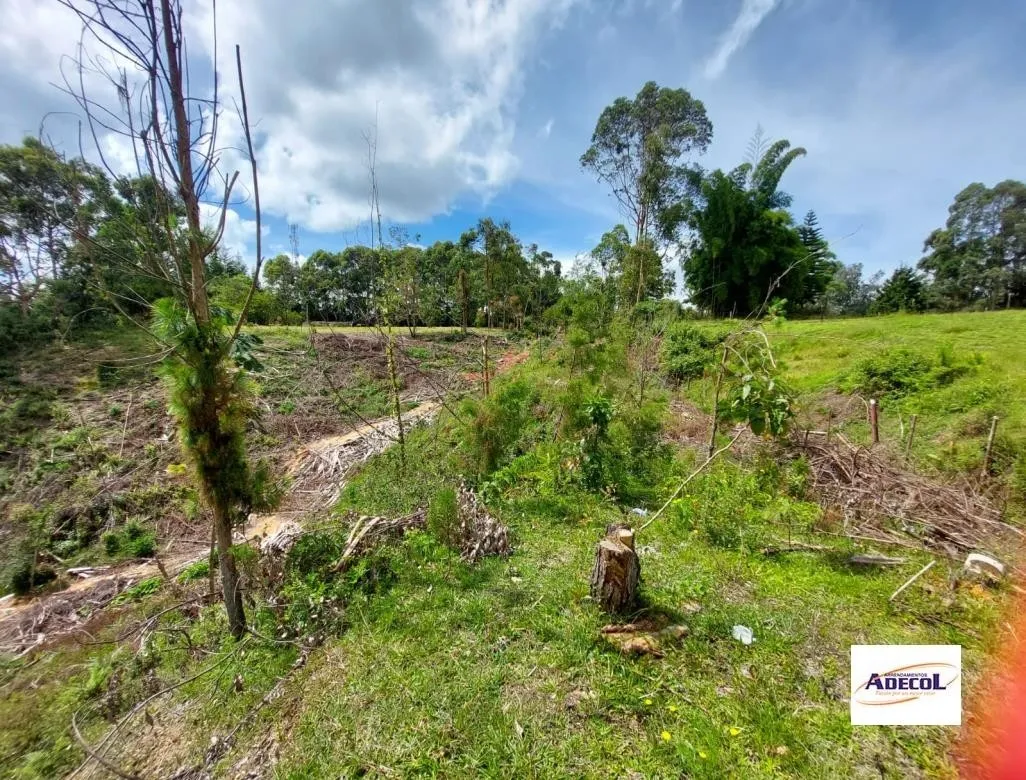 Lote en venta en El Porvenir, Rionegro, 3330 m² · foto 6 de 12