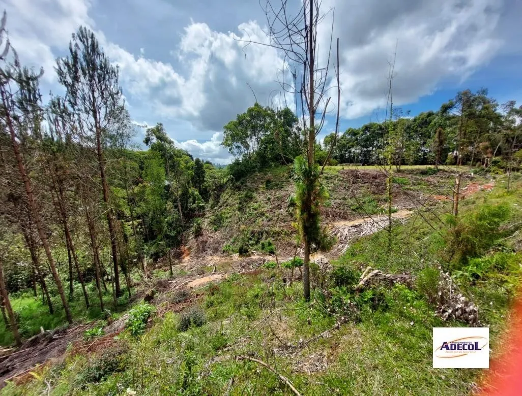 Lote en venta en El Porvenir, Rionegro, 3330 m² · foto 7 de 12