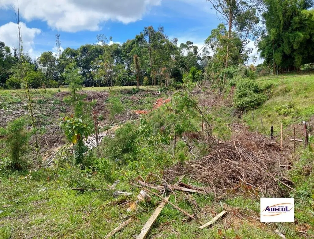Lote en venta en El Porvenir, Rionegro, 3330 m² · foto 8 de 12