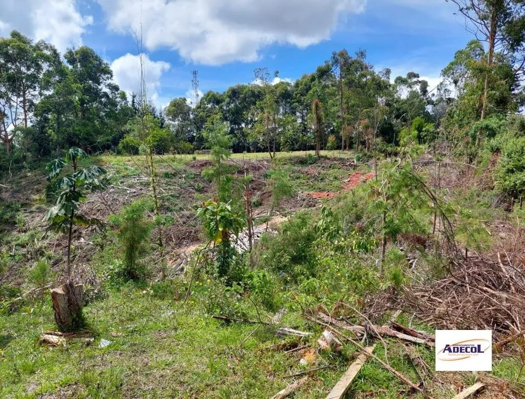 Lote en venta en El Porvenir, Rionegro, 3330 m² · foto 9 de 12