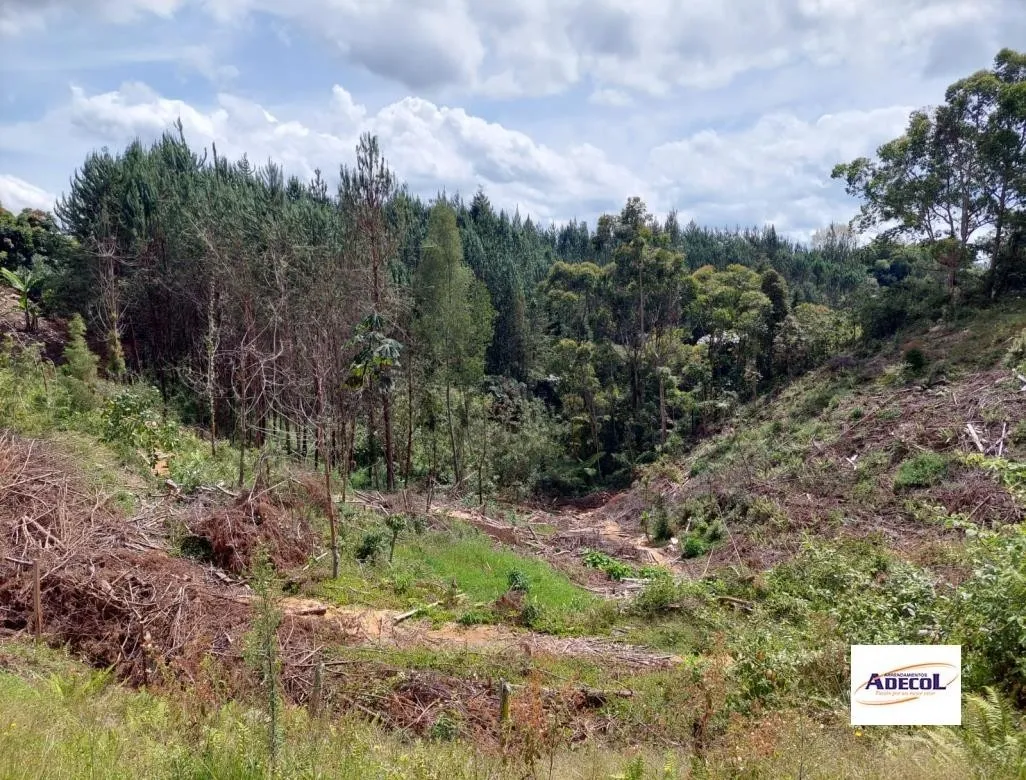Lote en venta en El Porvenir, Rionegro, 3330 m² · foto 10 de 12
