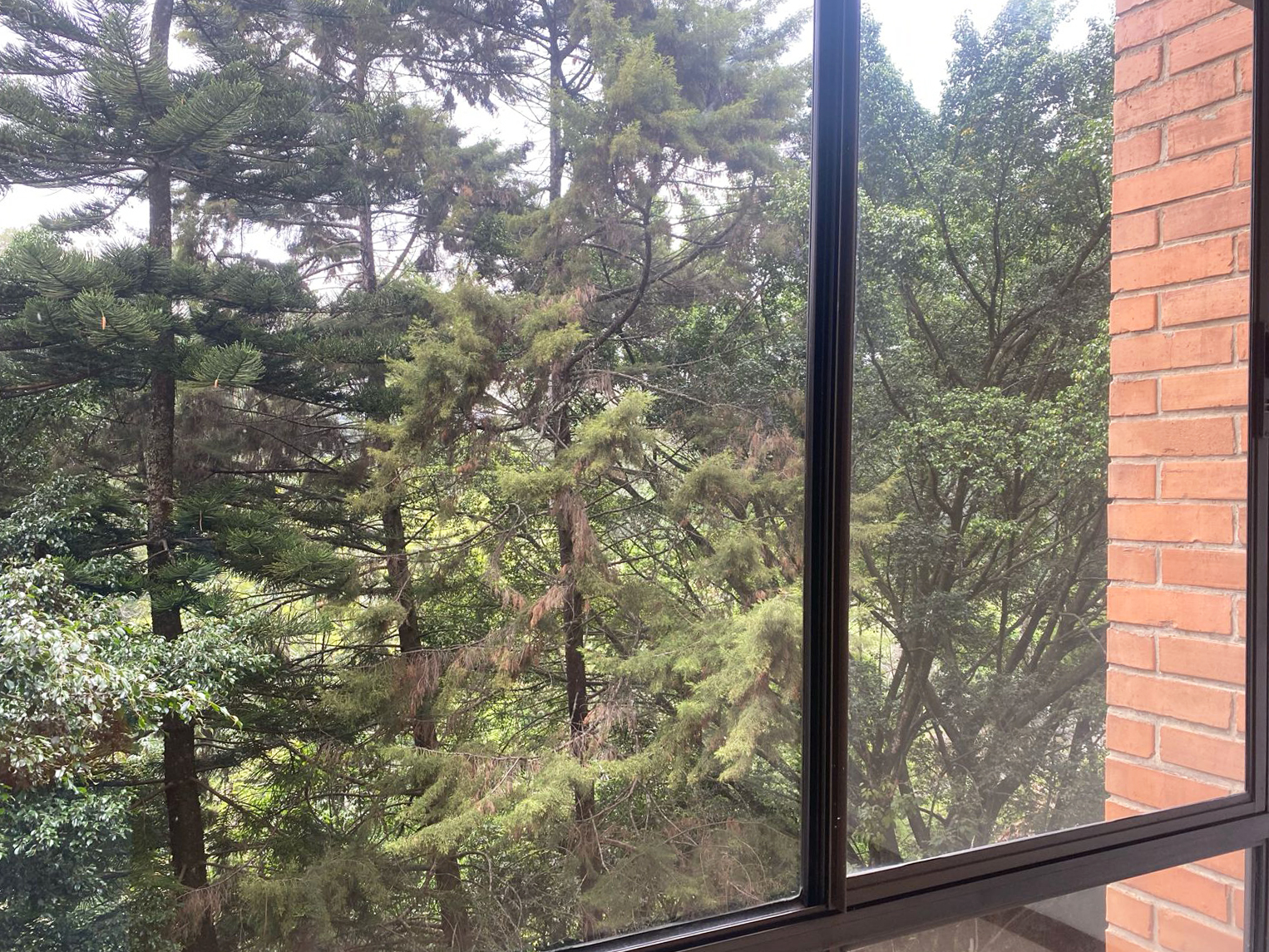 Apartamento de 2 alcobas en arriendo en El Diamante 2, Medellín, 80 m² · foto 18 de 18