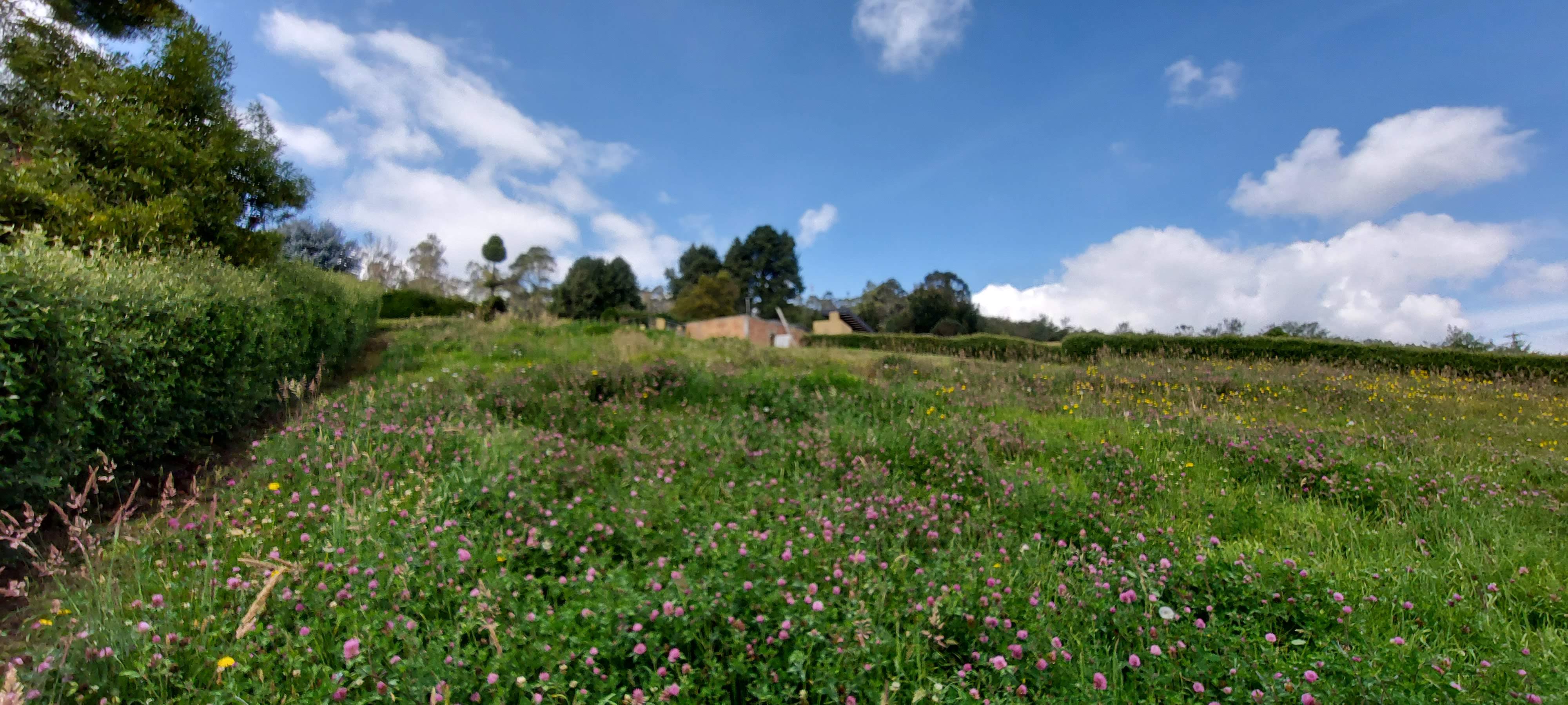 Lote en venta en El Hato, La Calera, 2457 m² · foto 4 de 6