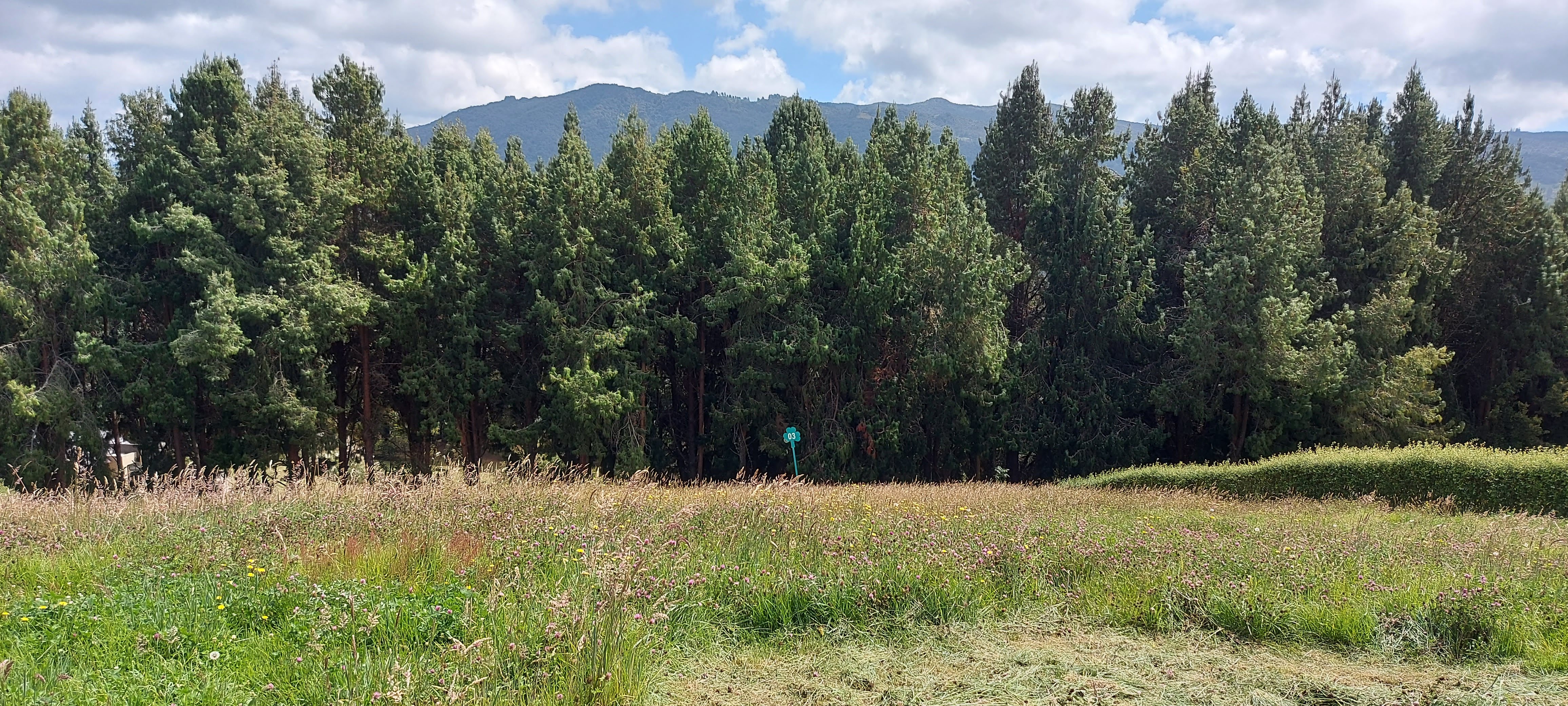 Lote en venta en El Hato, La Calera, 2457 m² · foto 5 de 6