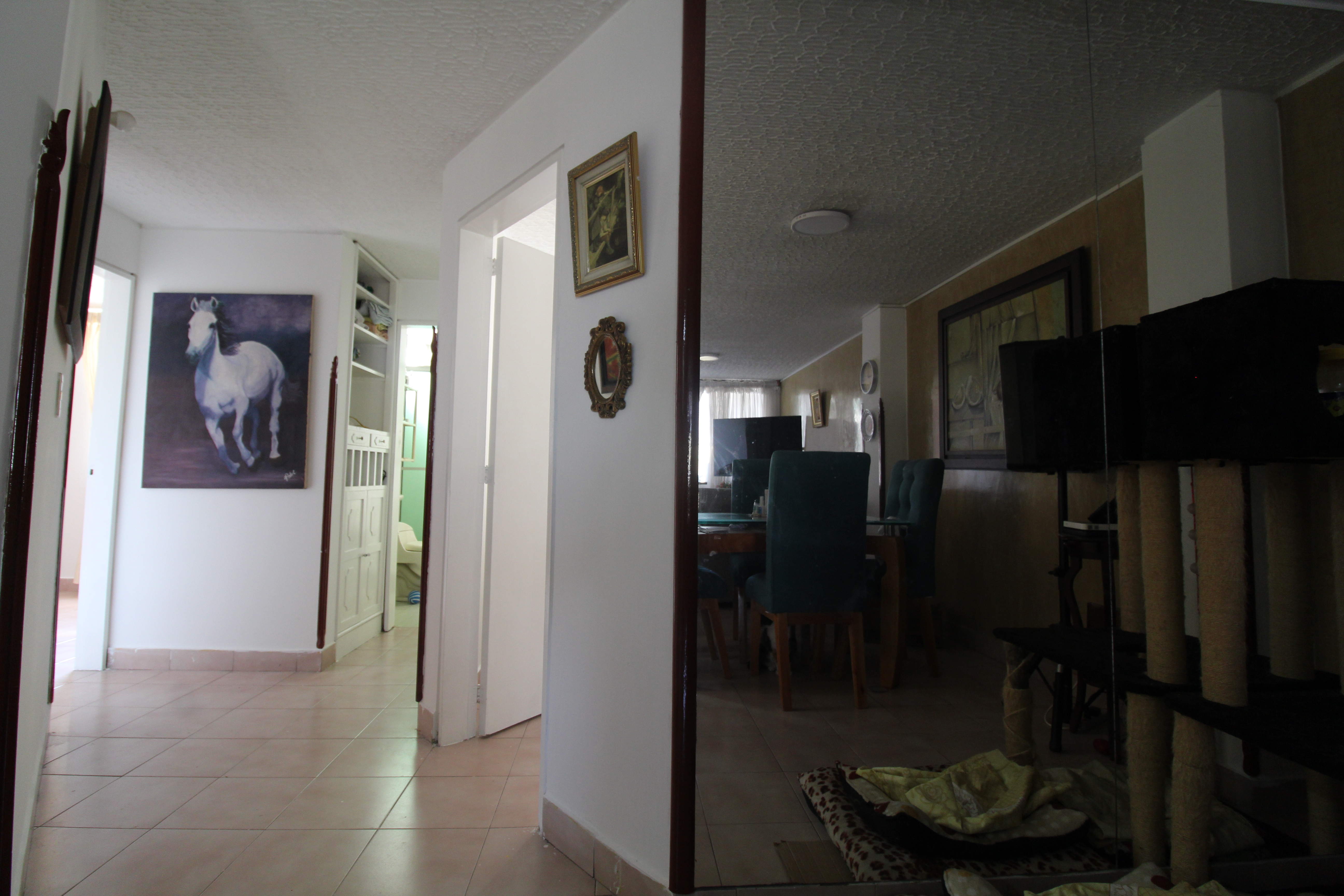 Apartamento de 3 alcobas en venta en El Prado, Bucaramanga, 80 m² · foto 2 de 17