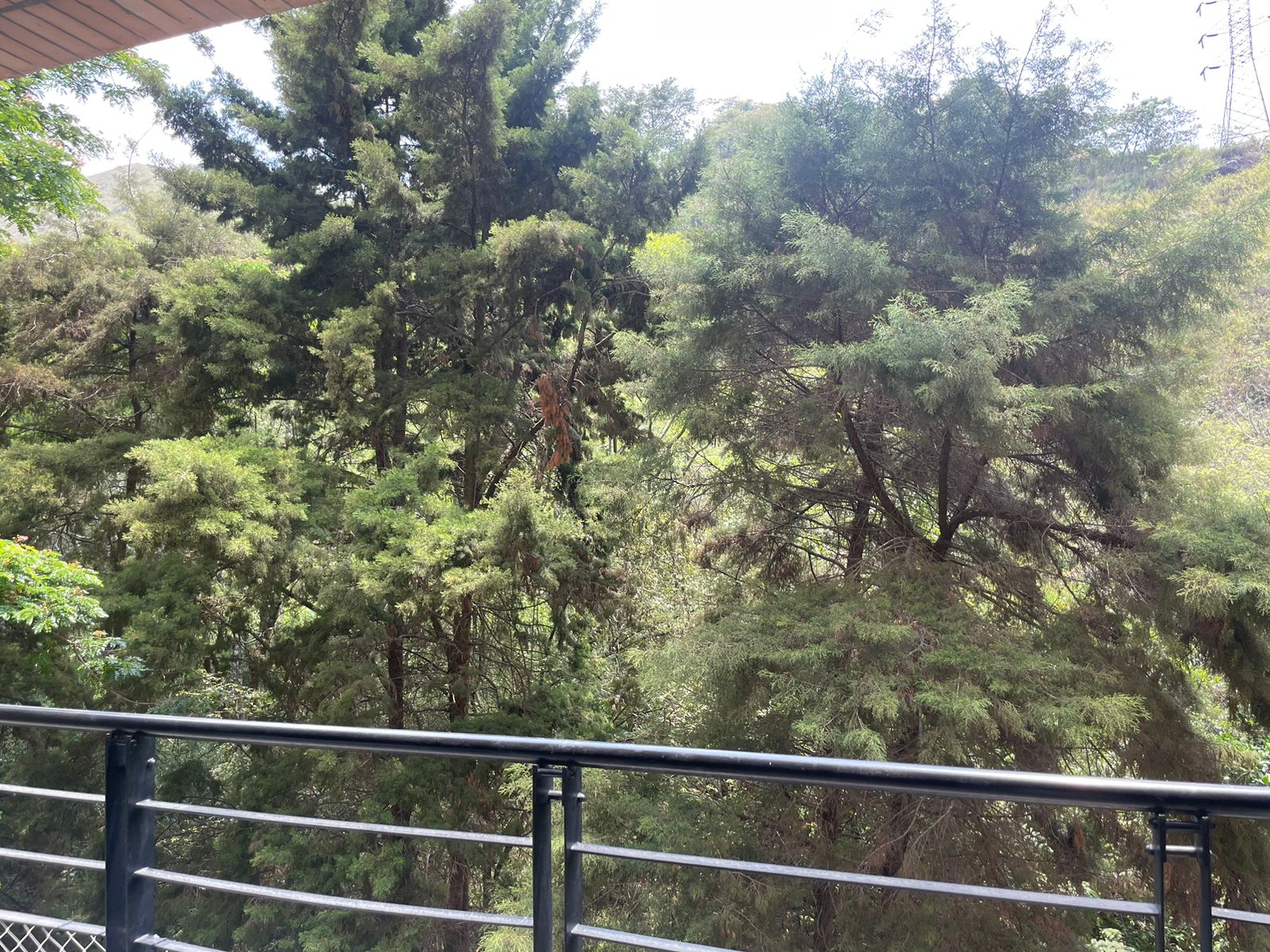 Apartamento de 4 alcobas en venta en Normandia, Cali, 260 m² · foto 7 de 24