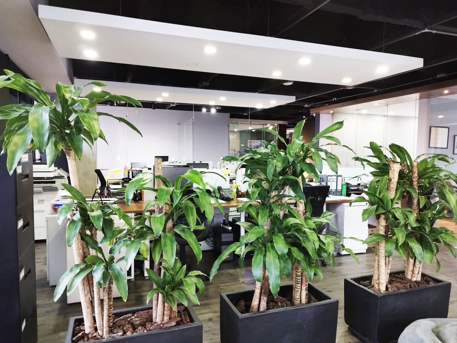 Oficina en arriendo en Las Lomas No.1, Medellín, 250 m² · foto 19 de 20