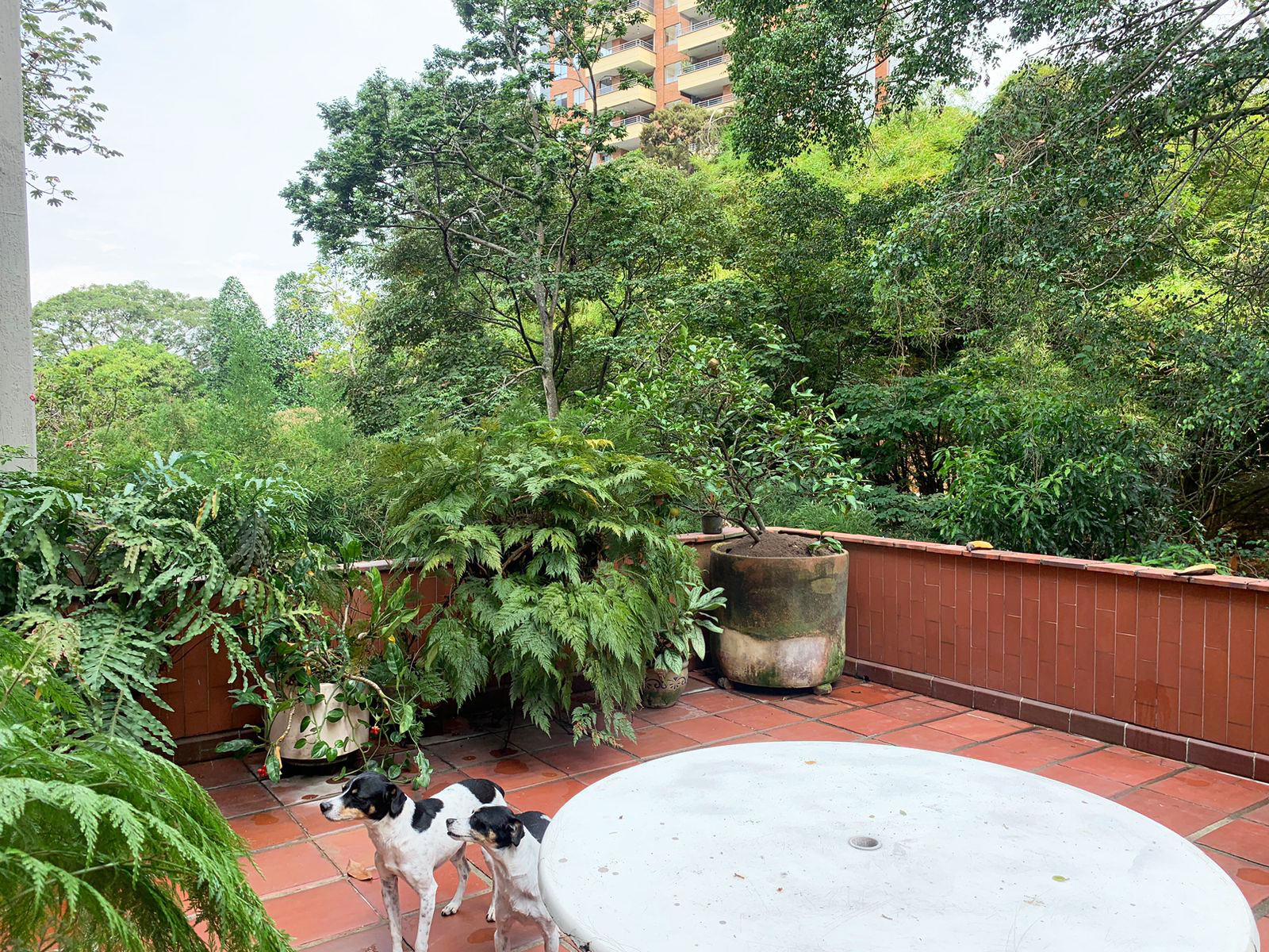 Apartamento de 3 alcobas en venta en La Florida, Medellín, 176 m² · foto 15 de 15