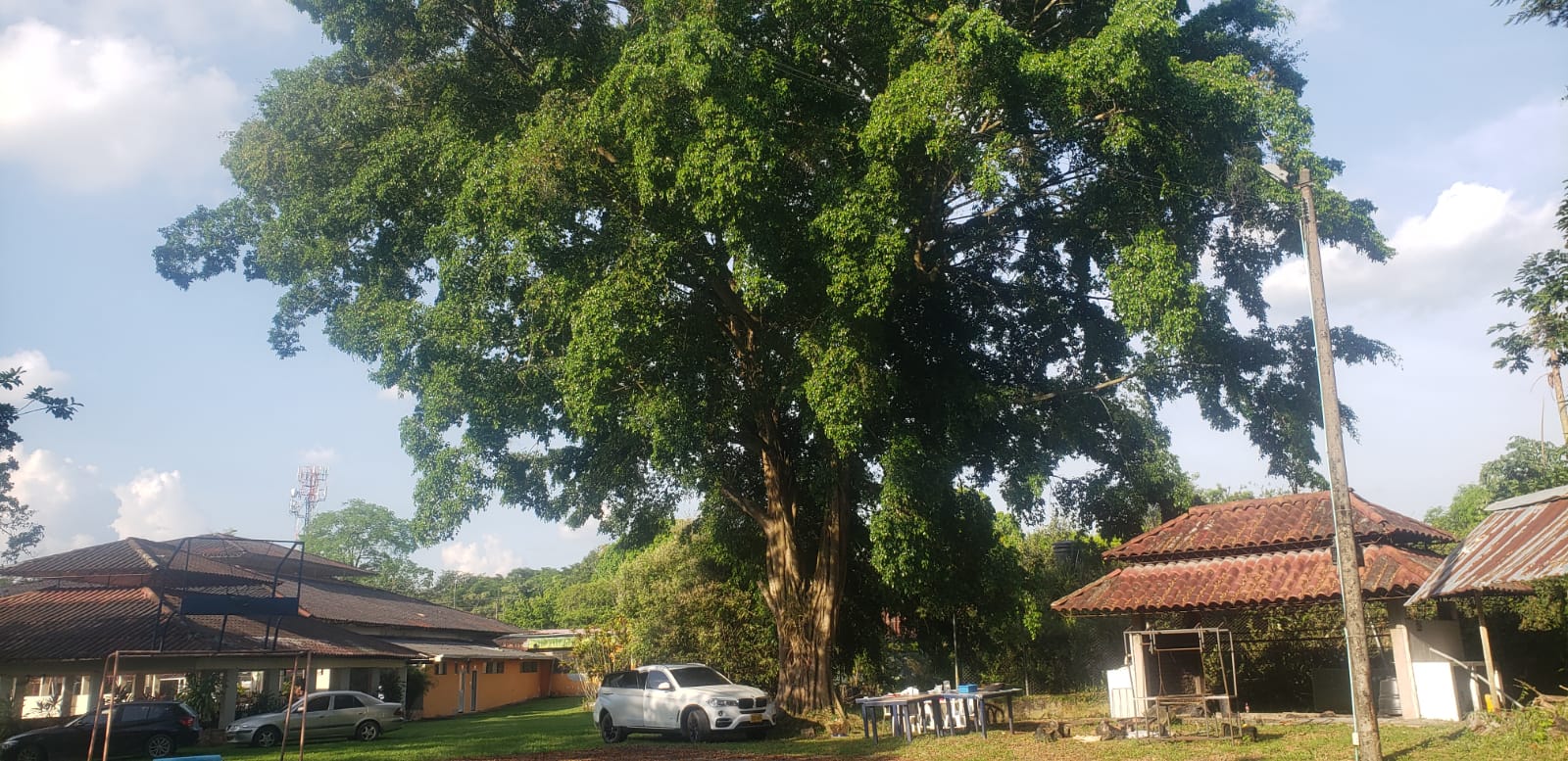 Finca en venta en Apiay, Villavicencio, 800 m² · foto 6 de 24
