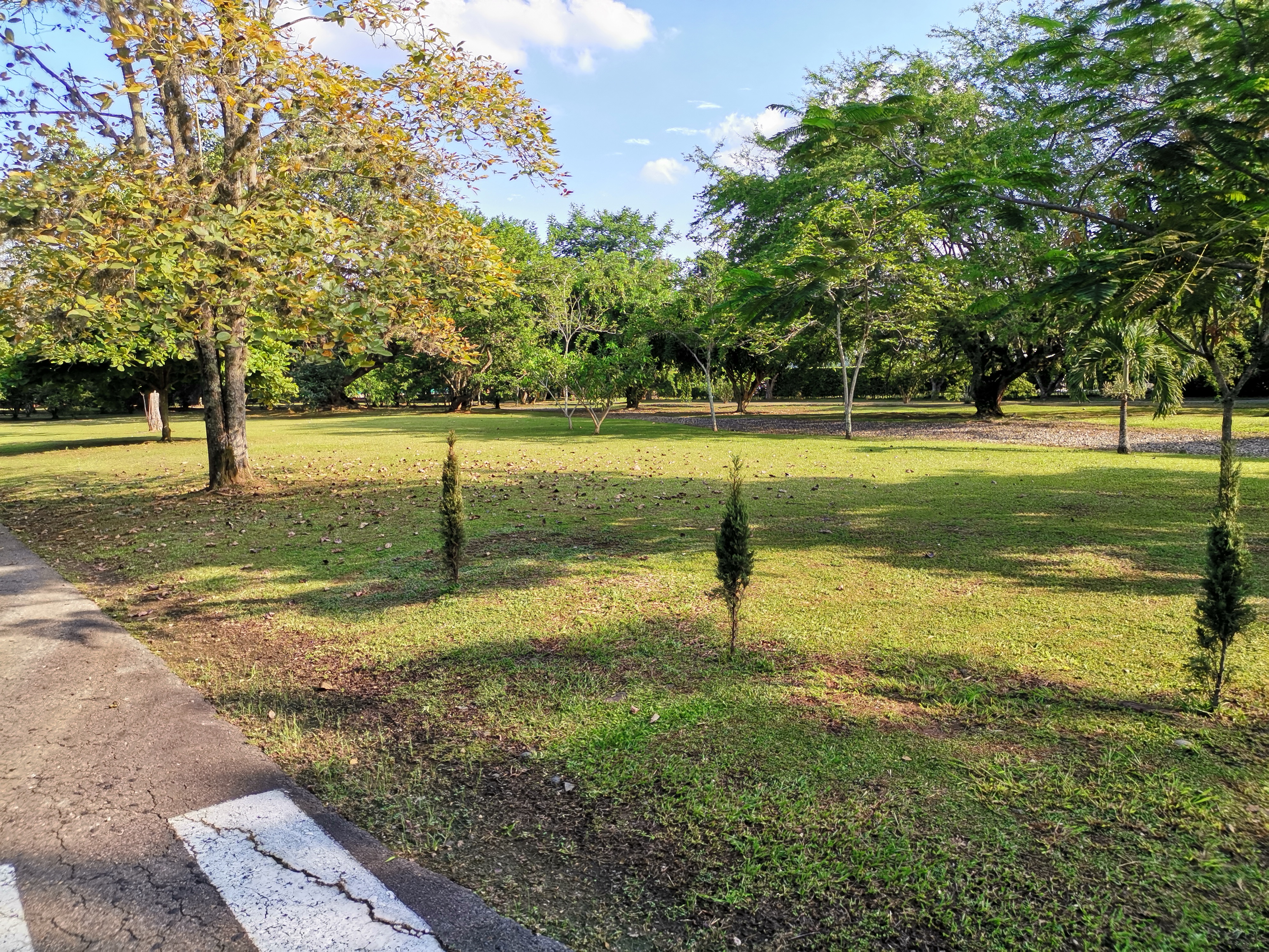 Lote en venta en La Morada, Jamundí, 1650 m² · foto 3 de 13