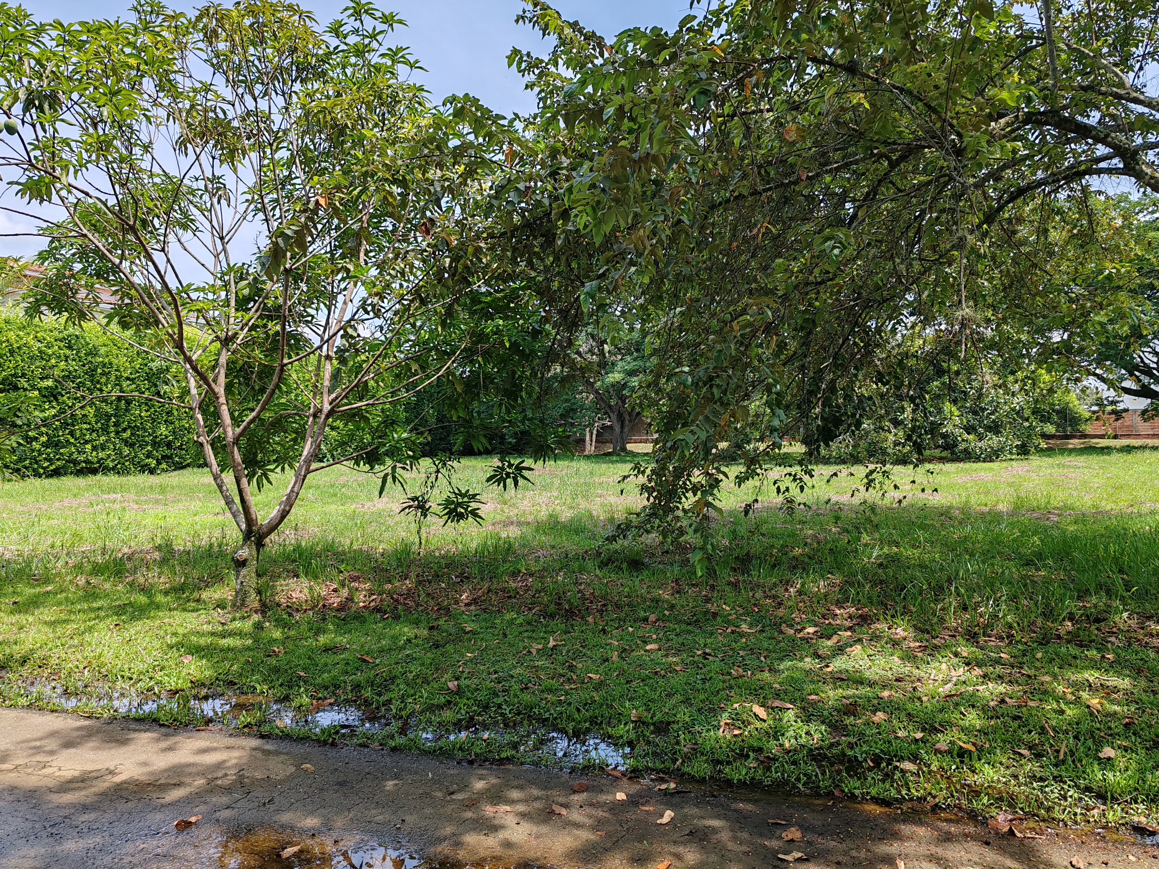 Lote en venta en La Morada, Jamundí, 1650 m² · foto 7 de 13