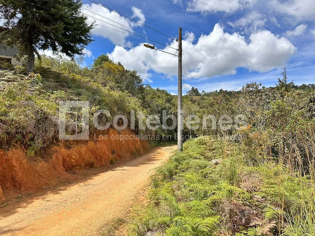 Lote en venta en El Molino, Guarne, 30000 m² · foto 2 de 9
