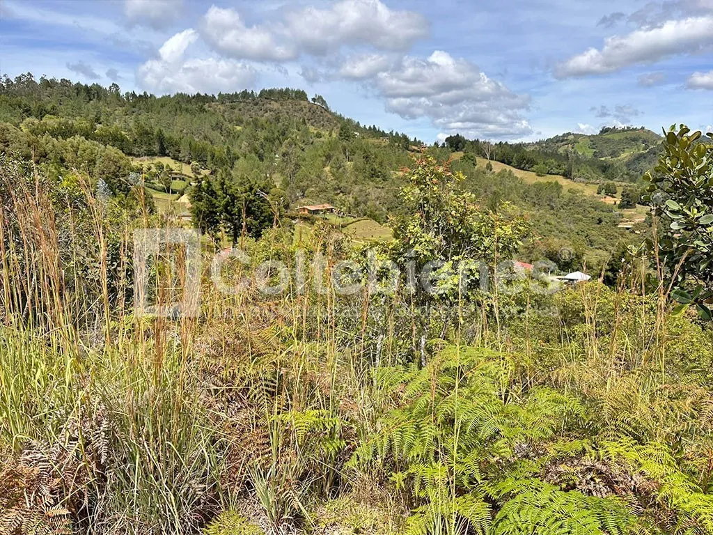 Lote en venta en El Molino, Guarne, 30000 m² · foto 3 de 9