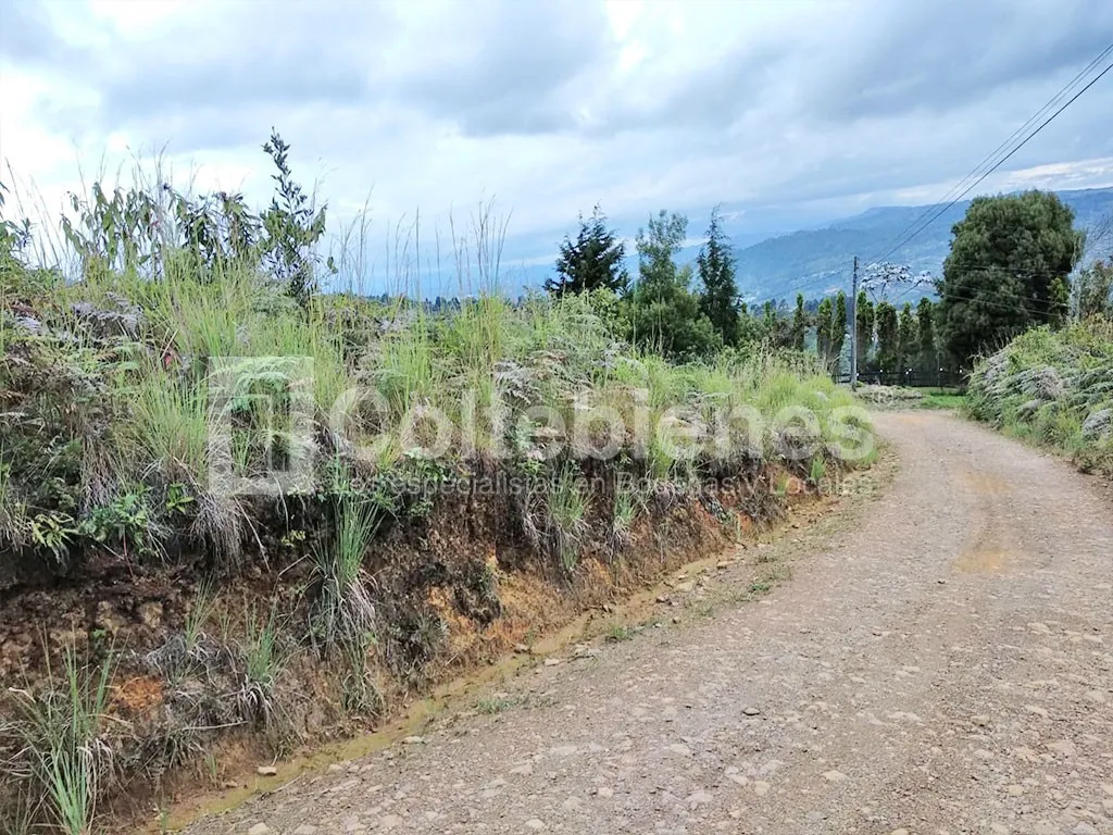 Lote en venta en El Molino, Guarne, 30000 m² · foto 4 de 9