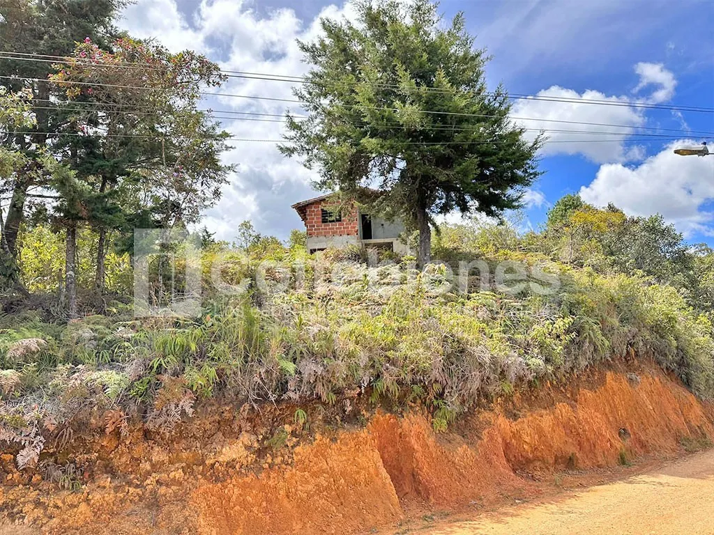 Lote en venta en El Molino, Guarne, 30000 m² · foto 5 de 9