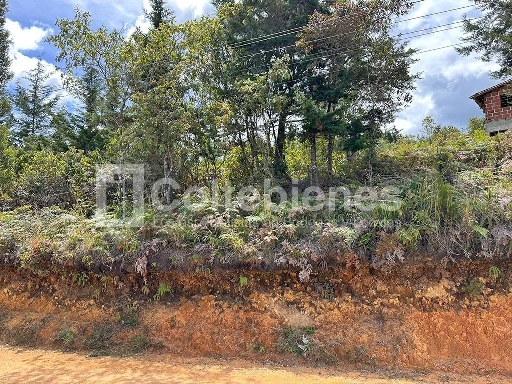 Lote en venta en El Molino, Guarne, 30000 m² · foto 7 de 9