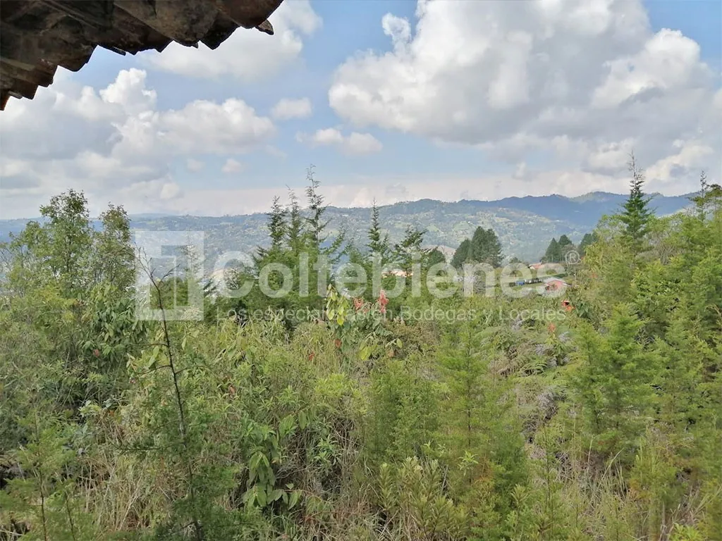Lote en venta en El Molino, Guarne, 30000 m² · foto 9 de 9