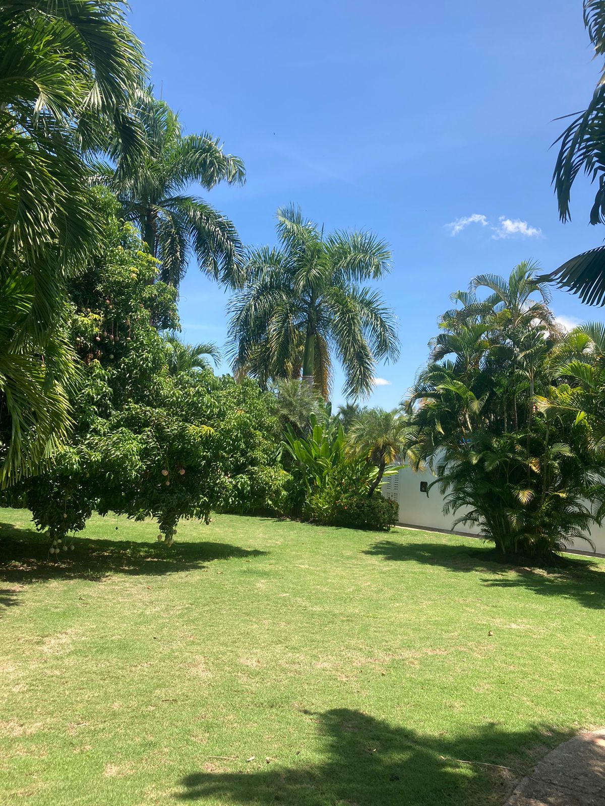 Casa de 4 alcobas en venta en Ricaurte, 185 m² · foto 21 de 24